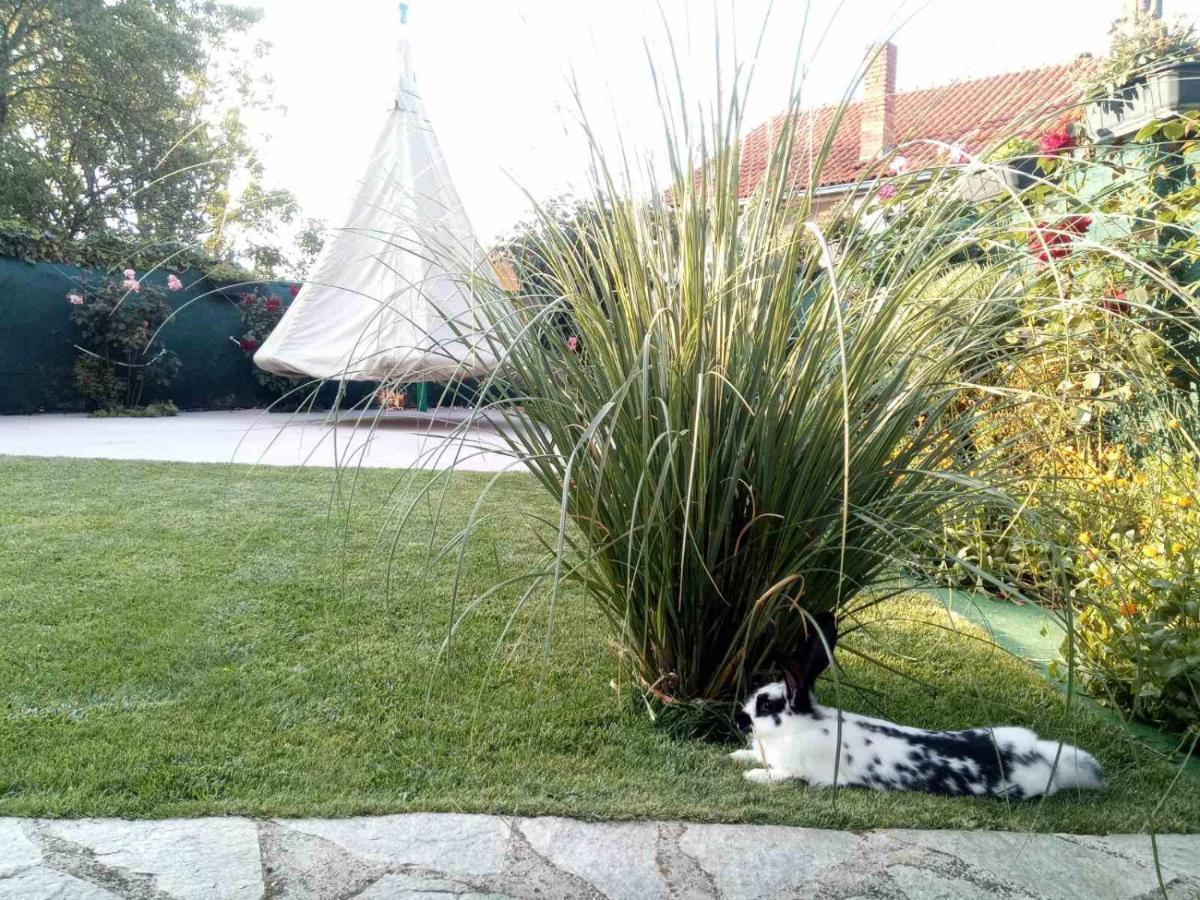 Yard House Trpejca Hotell Ohrid Exteriör bild